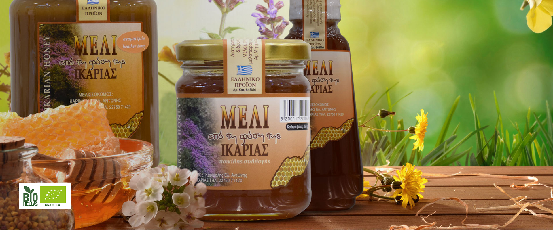 Φυσικό & Βιολογικό Φυσικό & Βιολογικό