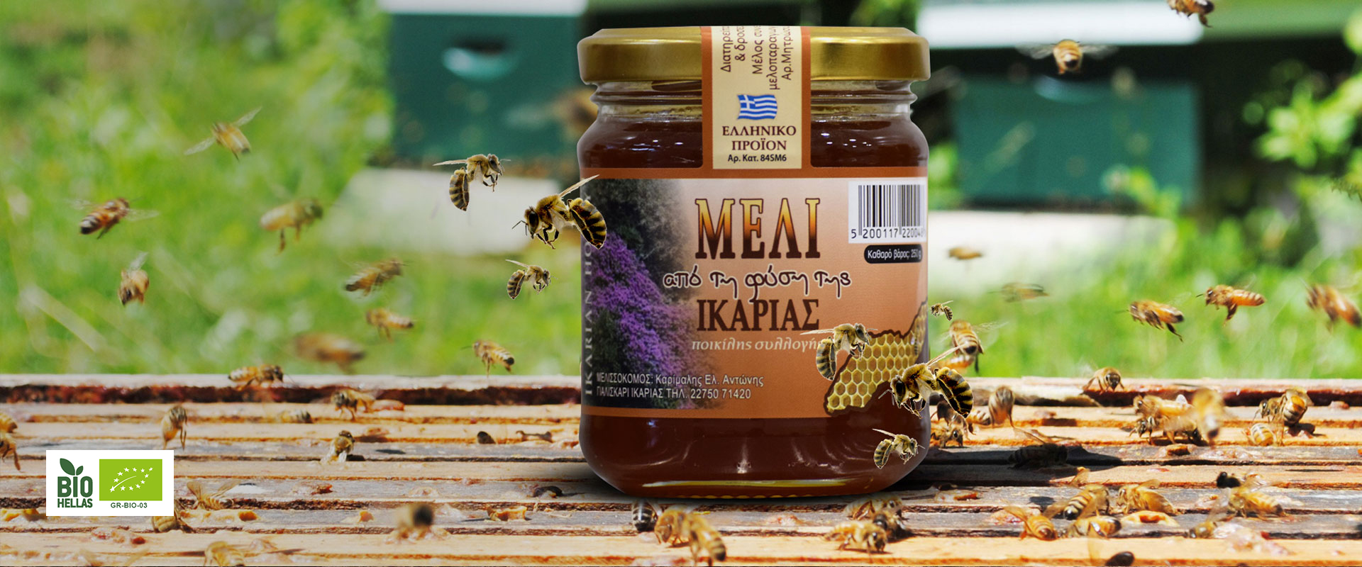 Φυσικό & Βιολογικό Φυσικό & Βιολογικό